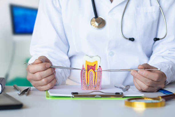 Best Emergency Broken Tooth Repair in Coulee Dam, WA